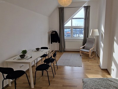 Pronájem bytu 1+1 35 m² (Podkrovní)