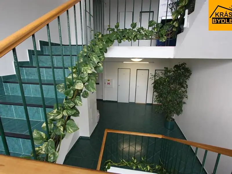 Pronájem kanceláře 20 m², Olomouc – náhled fotky 2