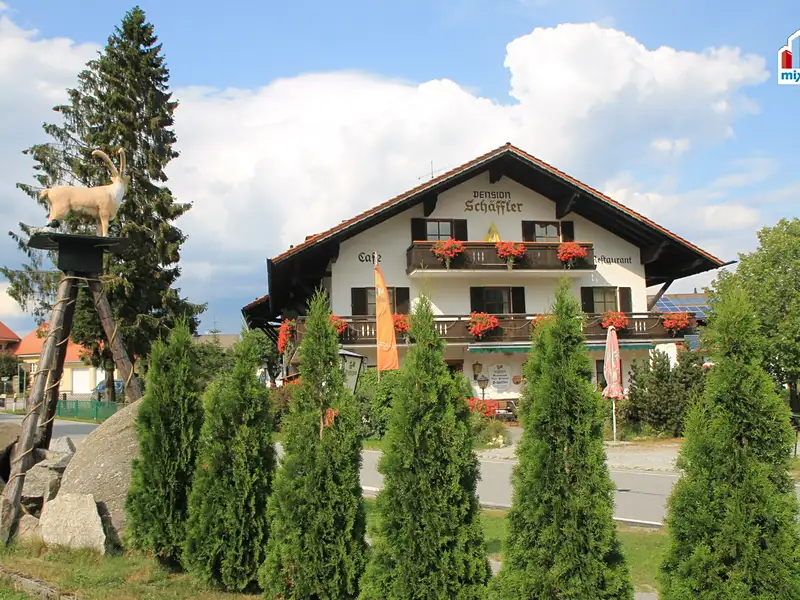 Prodej ubytovacího zařízení 1746 m², Železná Ruda – náhled fotky 2