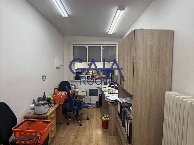 Prodej komerčního prostoru, 600 m² (9 z 24)