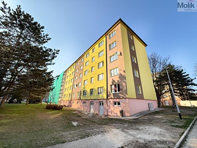 Brigádnická, Most