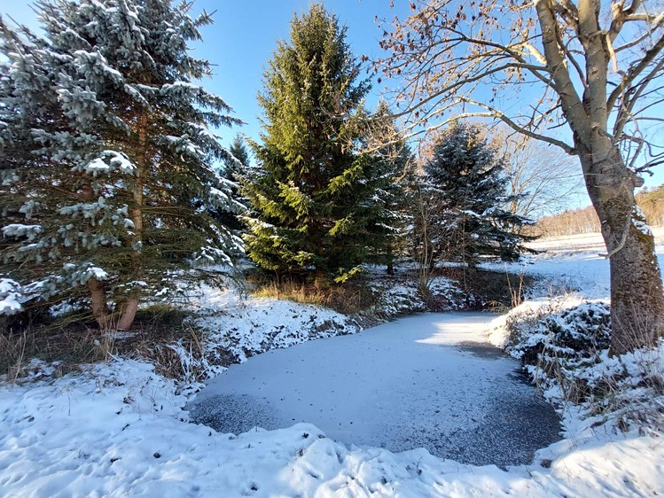 Grundstück zum Kauf, 1.217 m² (9 von 21)