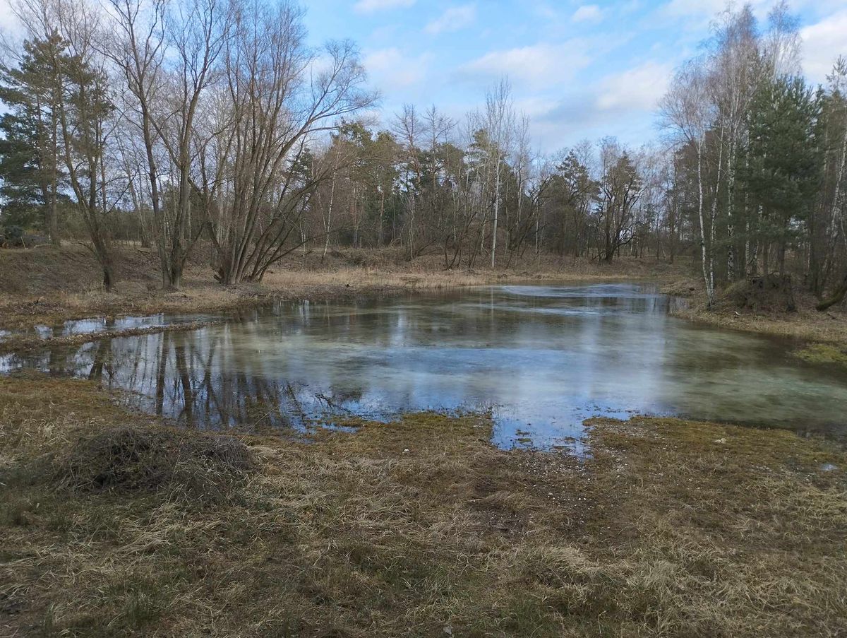 Prodej komerční nemovitosti 17314 m² – fotografie 4