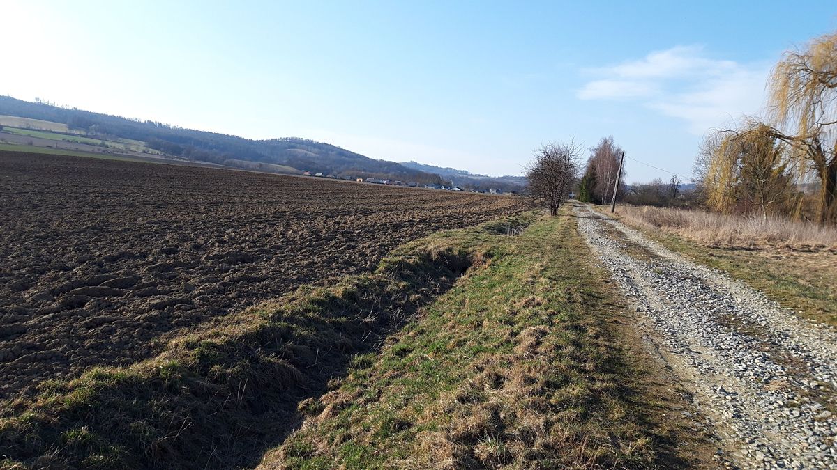 Prodej stavebního pozemku 12500 m² – fotografie 2