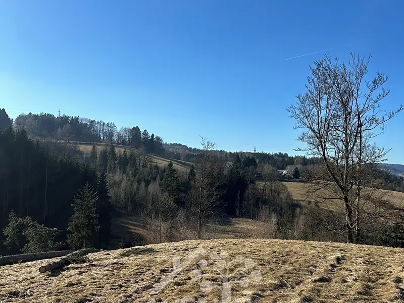 Prodej louky 14441 m², Bozkov – náhled fotky 2
