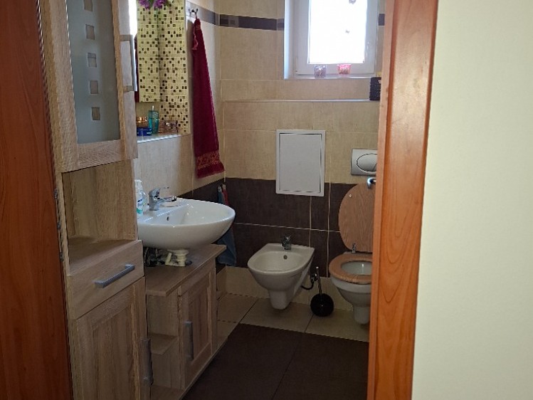 Prodej domu, 220 m² (12 z 23)