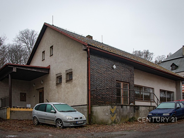 Комерційне приміщення на продаж, 410 м² (3 з 19)