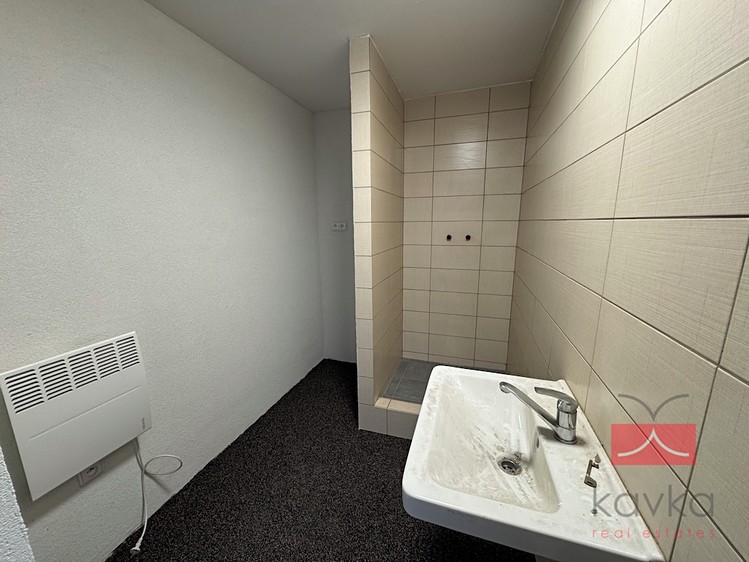 Gewerbefläche zur Miete, 200 m² (3 von 15)