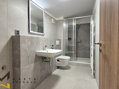 Pronájem bytu 1+kk 39 m²