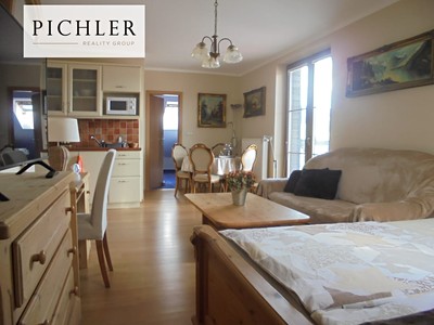 Pronájem bytu 1+kk 50 m² (Podkrovní)