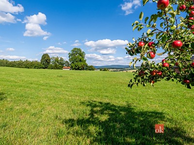 Prodej  louky 7 126 m² — photo 5