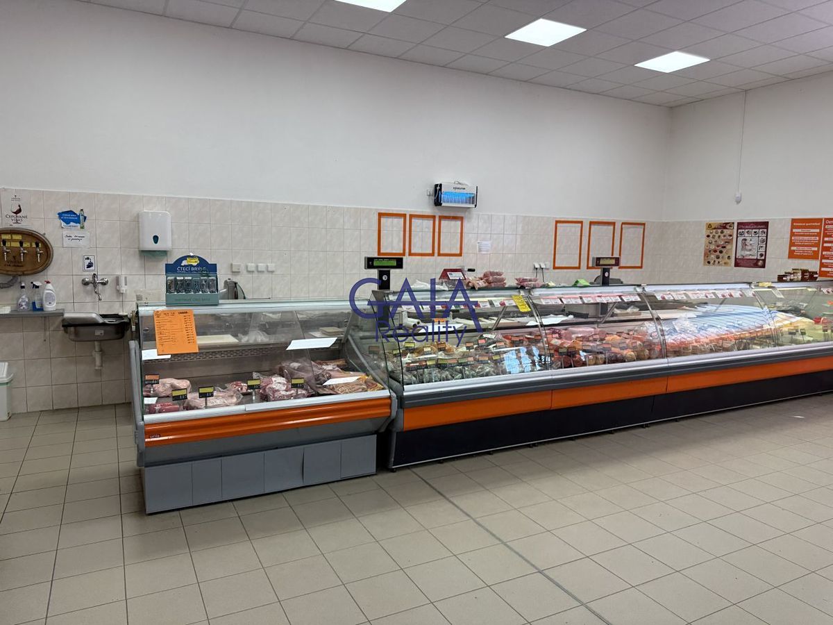 Prodej obchodního prostoru 600 m² – fotografie 4