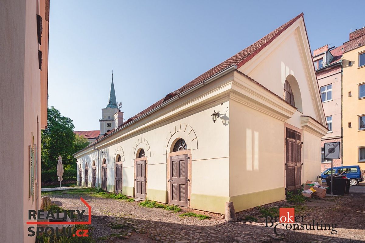 Prodej památky 250 m², pozemek 312 m² – fotografie 3