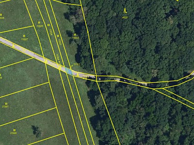 Prodej  lesa 58 m²