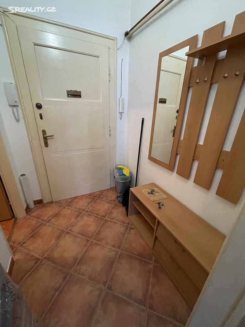 Pronájem bytu 1+kk 30 m² – pohled 4