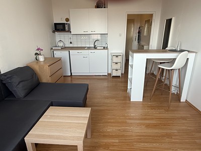 Pronájem bytu 1+kk 26 m² (Jednopodlažní)