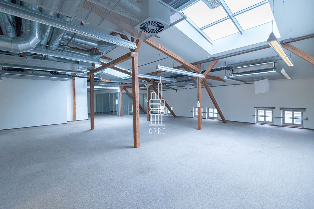 Pronájem kanceláře 306 m² – fotografie 5