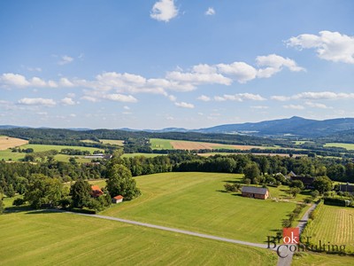Prodej  louky 7 126 m² — photo 4