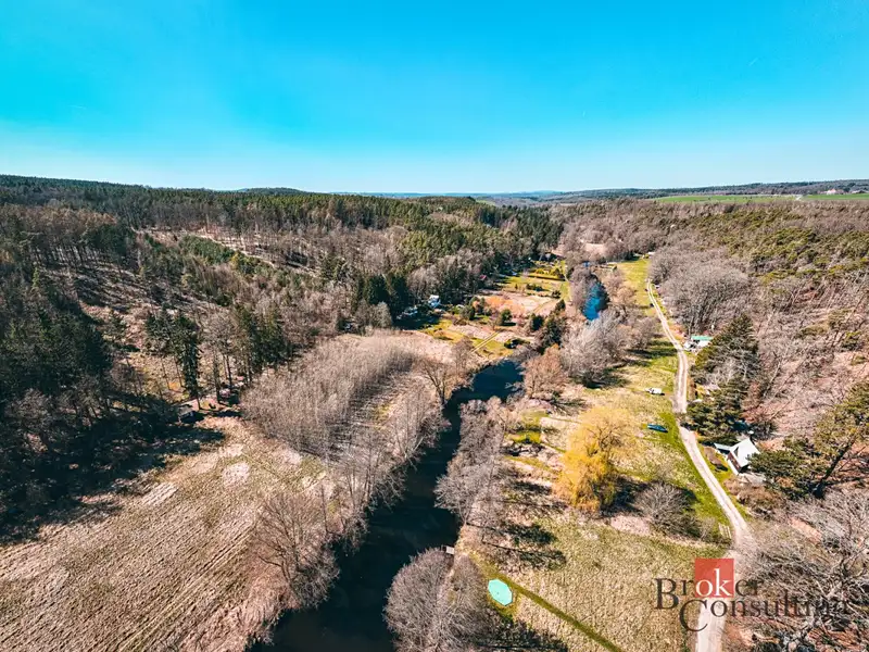 Prodej lesa 4109 m², Plešnice – náhled fotky 2