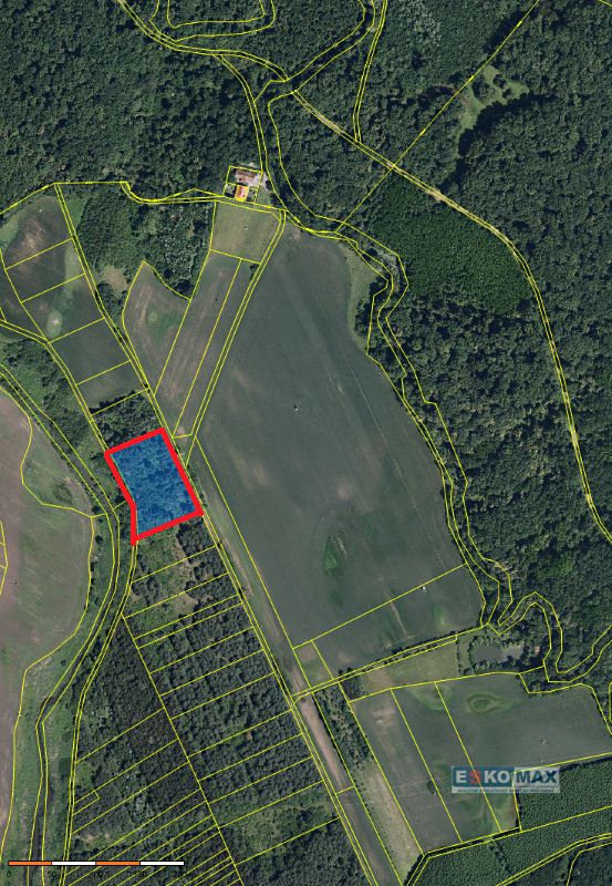 Prodej lesa 3405 m², Břeclav – fotka 1 z 3