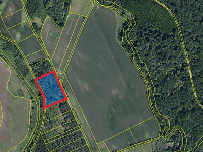 Prodej  lesa 3 405 m²