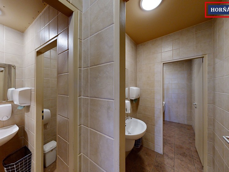 Prodej domu, 900 m² (9 z 19)