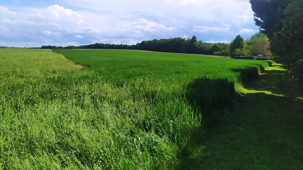 Prodej stavebního pozemku 4000 m² – fotografie 2