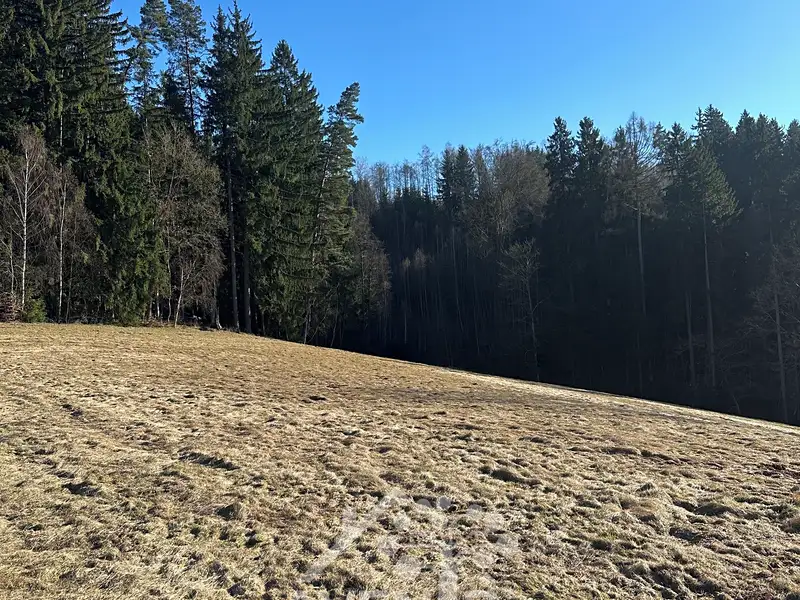 Prodej louky 14441 m², Bozkov – náhled fotky 3