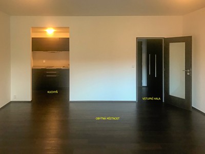 Pronájem bytu 1+kk 44 m² (Jednopodlažní)