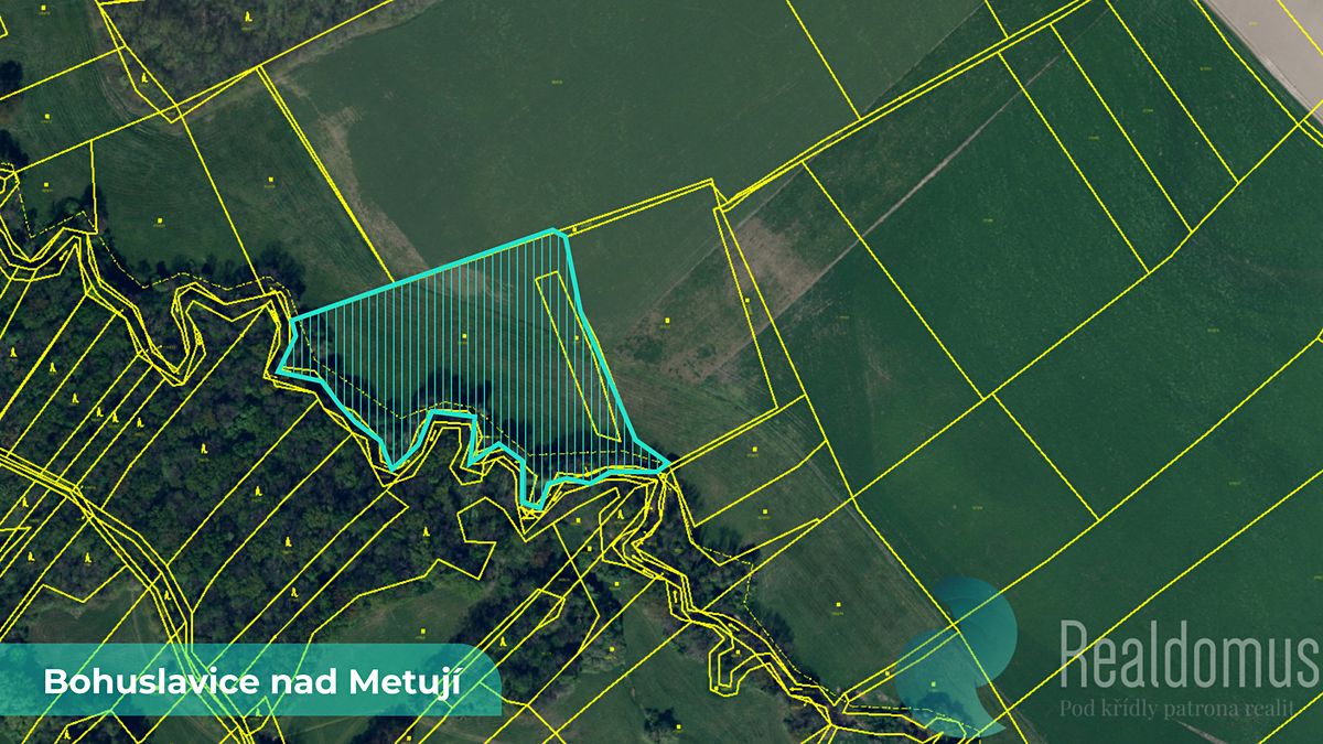 Prodej pole 43749 m² – fotografie 2