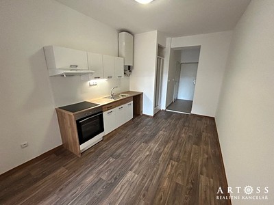 Pronájem bytu 1+1 39 m²