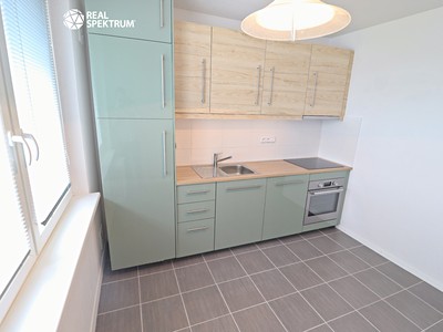 Pronájem bytu 1+1 42 m²