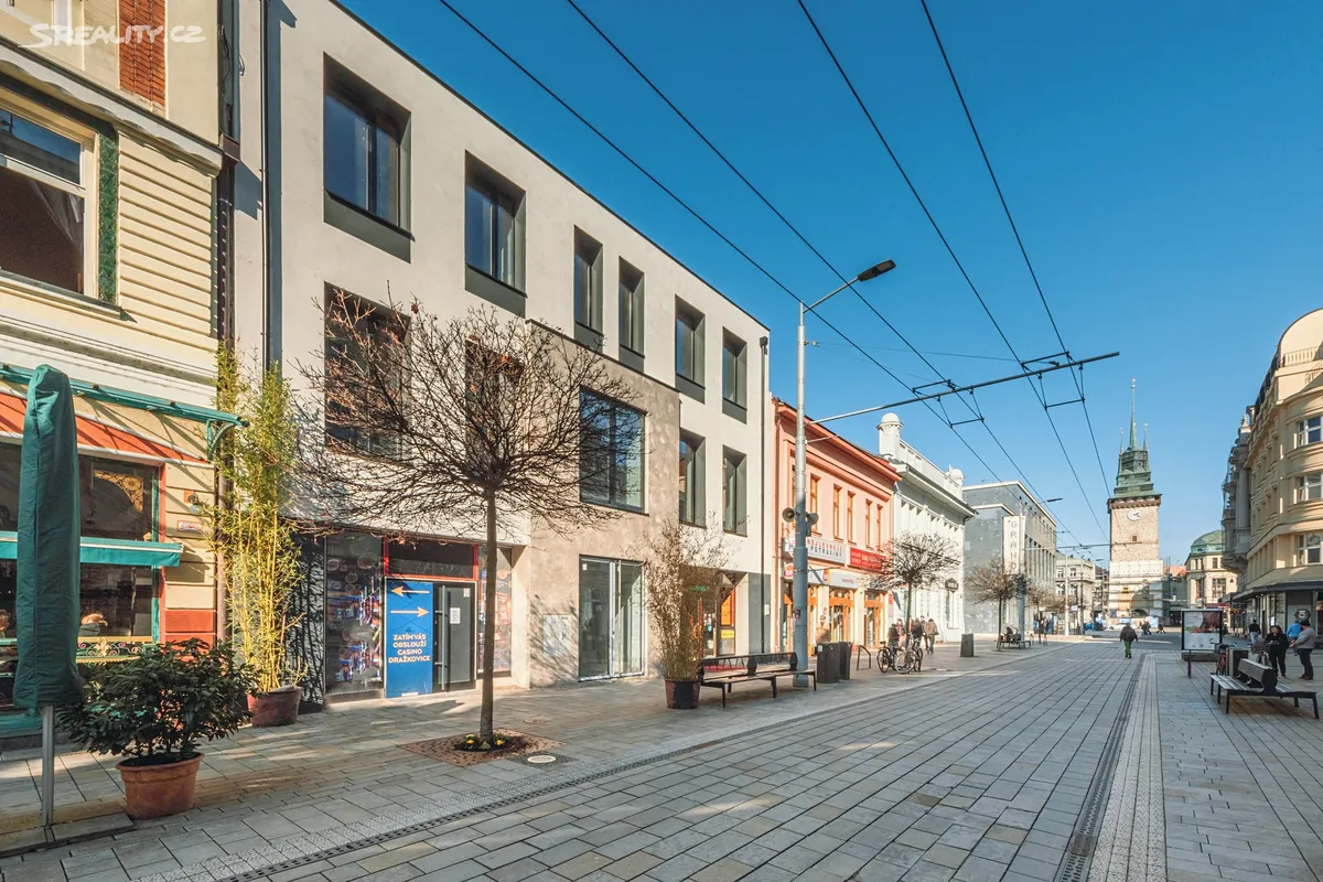 Pronájem obchodního prostoru 390 m²