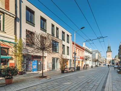 Pronájem obchodního prostoru 390 m²