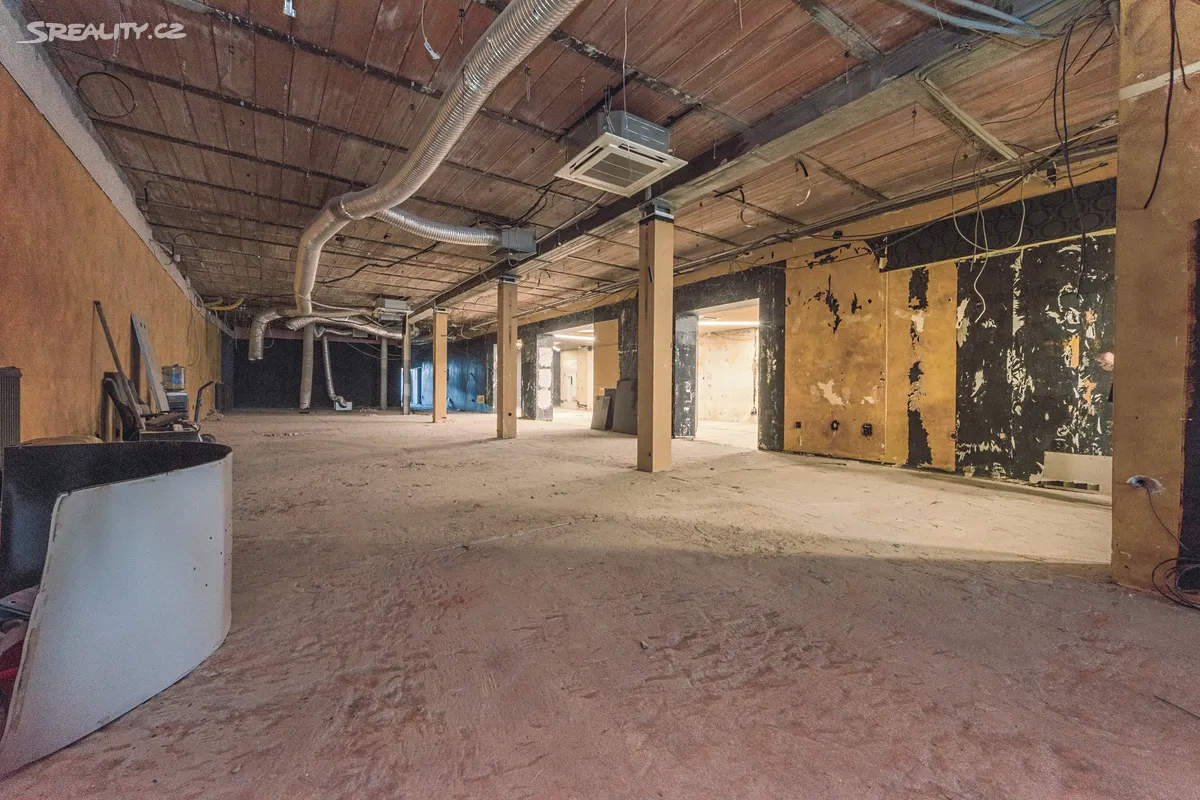 Pronájem obchodního prostoru 390 m² – pohled 3
