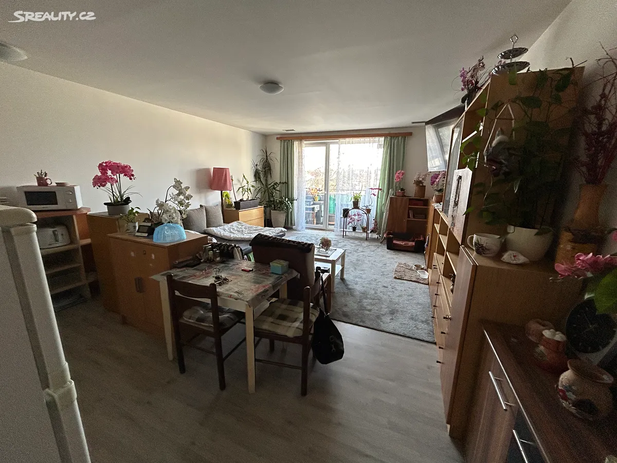 Prodej bytu 1+kk 46 m², Brno