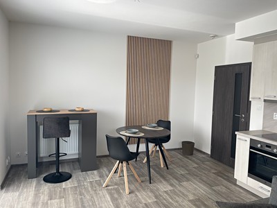 Pronájem bytu 1+kk 37 m² (Jednopodlažní)