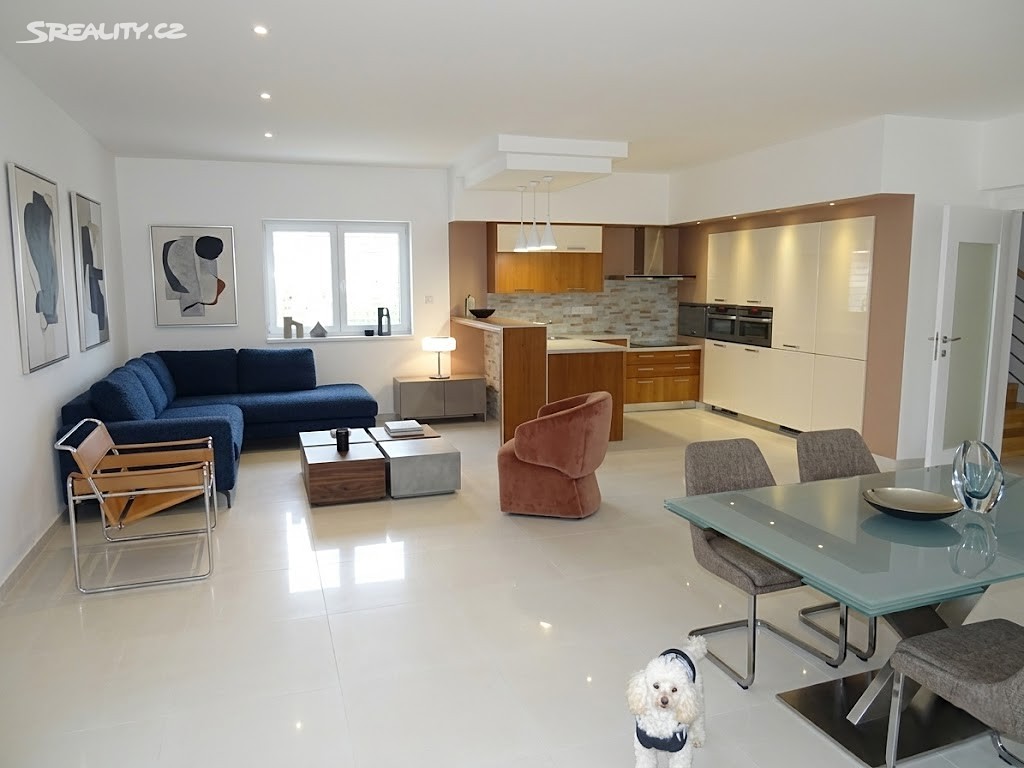 Prodej  rodinného domu 360 m², pozemek 1 000 m² – pohled 2