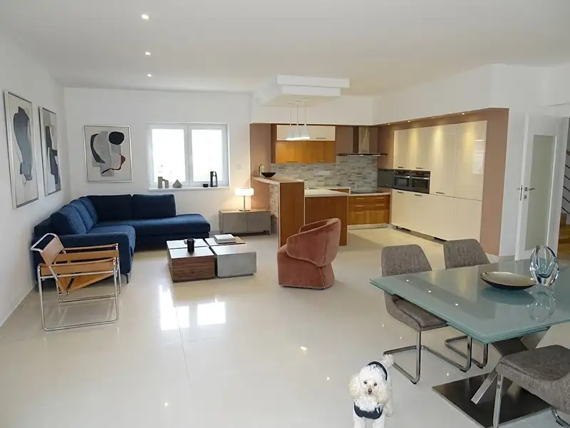 Prodej rodinného domu 360 m², pozemek 1000 m², Louňovice – náhled fotky 2