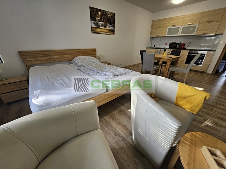 Квартира 1+kk на продаж, 47 м² (2 з 10)