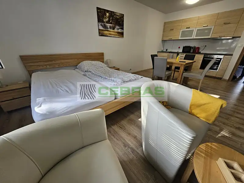 Prodej bytu 1+kk 47 m², Lipno nad Vltavou – náhled fotky 2