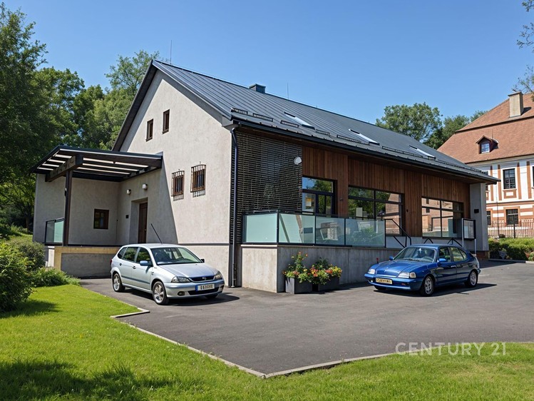 Будинок на продаж, 410 м² (2 з 19)