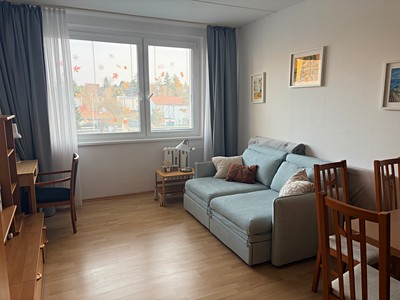 Pronájem bytu 1+kk 30 m² (Jednopodlažní)