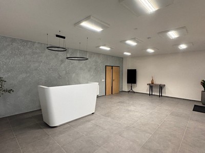 Pronájem komerčního prostoru, 220 m² (3 z 18)