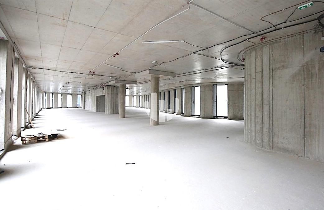 Pronájem kanceláře 447 m² – fotografie 4