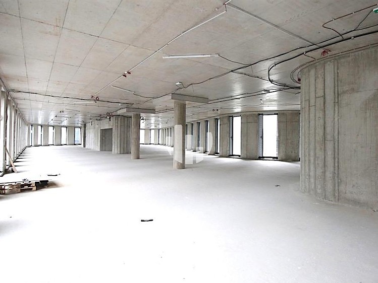 Pronájem komerčního prostoru, 447 m² (4 z 10)