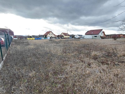 Ділянка на продаж, 870 м² (3 з 6)