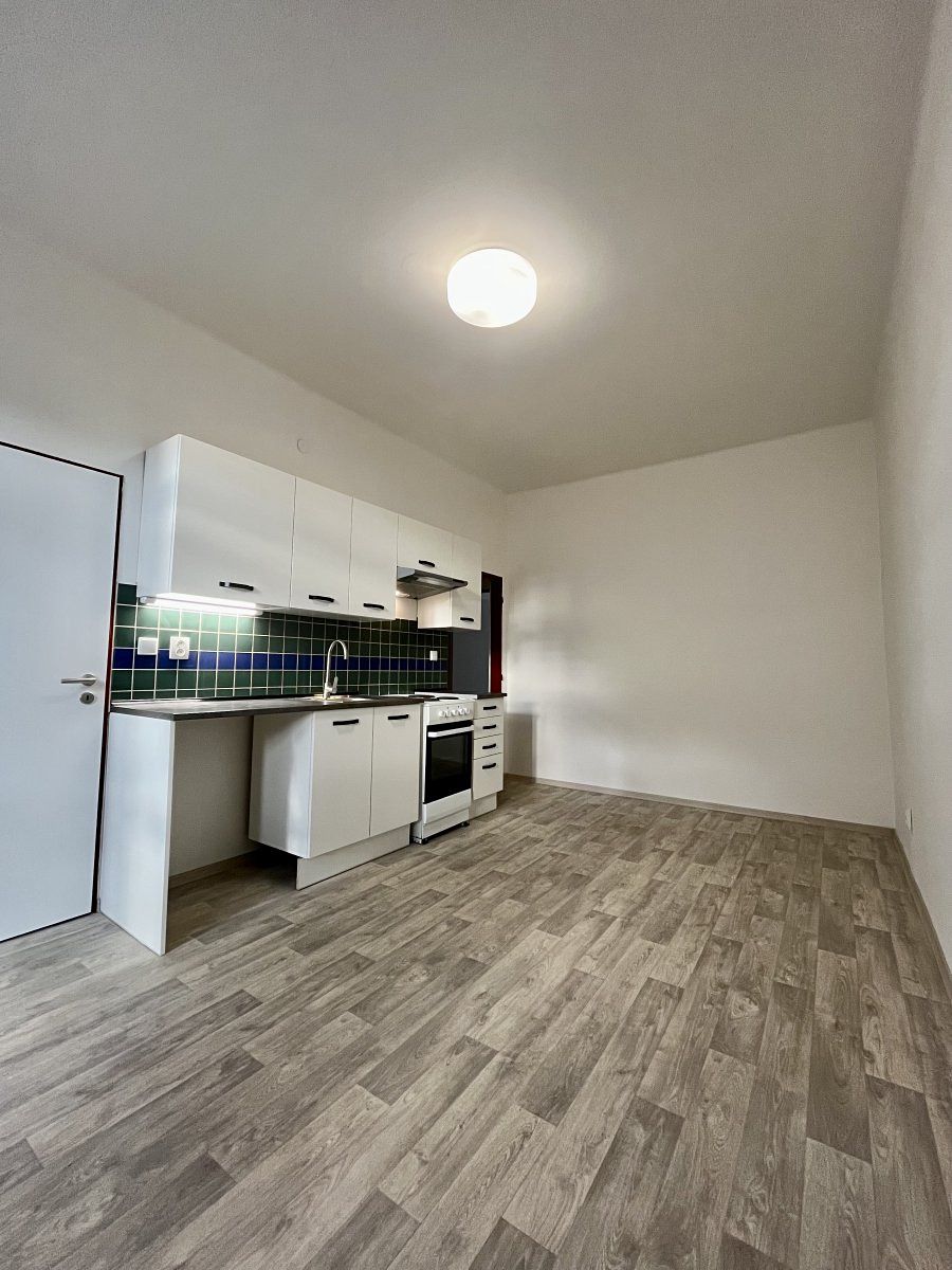 Pronájem bytu 1+1 50 m² – fotografie 4