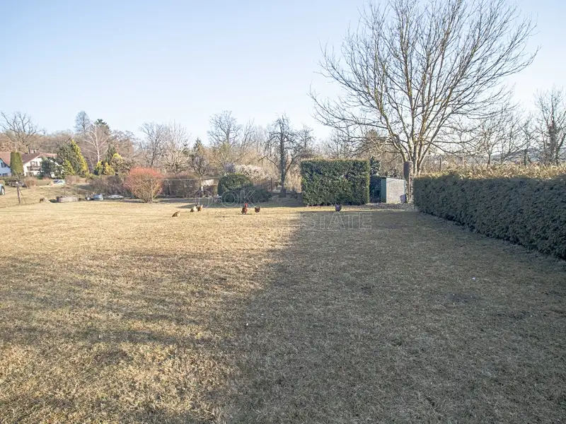 Prodej stavebního pozemku 1041 m², Horní Dvořiště – náhled fotky 2