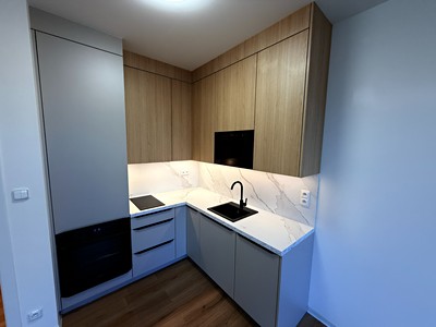 Pronájem bytu 1+kk 39 m²